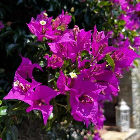 Casa di campagna Terredimezzo