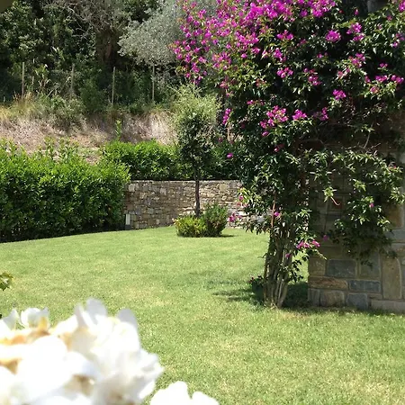 Terredimezzo Casa di campagna Pollica